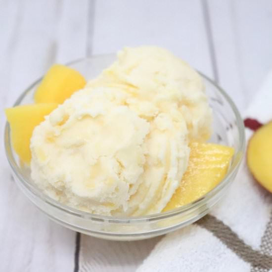 Vegan Mango Ice Cream - Recipe photo by simplylowcal