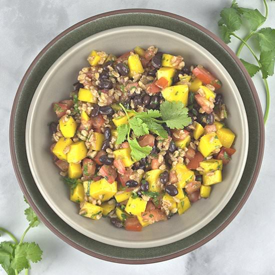 Mango Tomato Black Bean Salad - Recipe photo by agourmetfoodblog