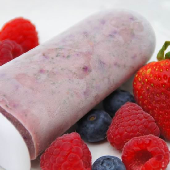 Berry & Kale Yogurt Popsicles - Recipe photo by landof10000recipes