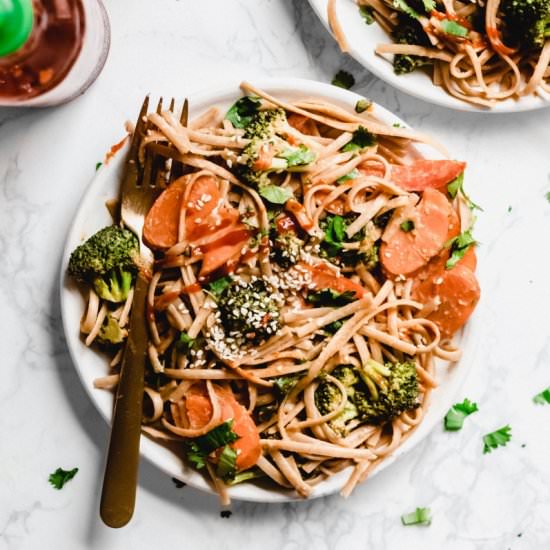 30 Min Vegan Peanut Butter Noodles - Recipe photo by emilieeats