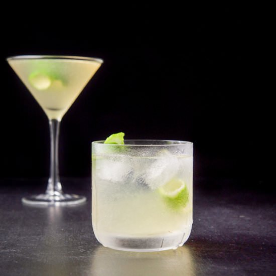 French Gimlet Cocktail - Recipe photo by Dishesdelish