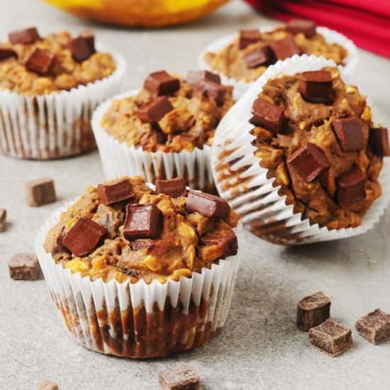 High Protein Chocolate Chunk Muffin - Recipe photo by alisonsallspice