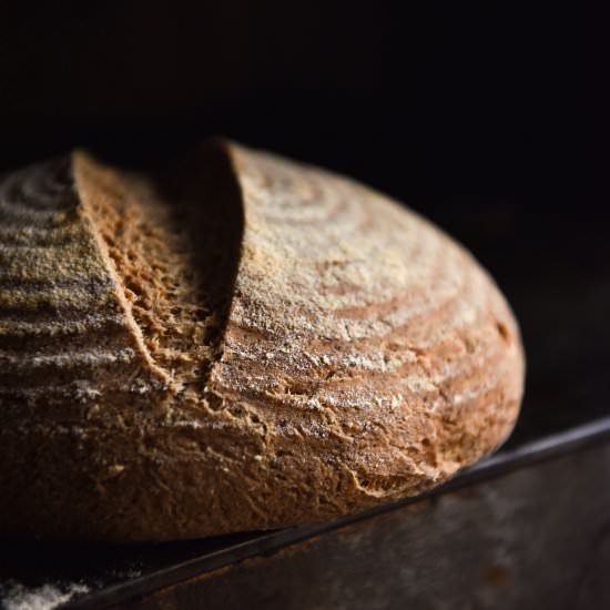 Gluten free sourdough starter - Recipe photo by georgeats