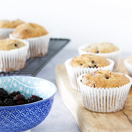 Wholemeal blackberry muffins - Recipe photo by Mandy Sneaky Veg