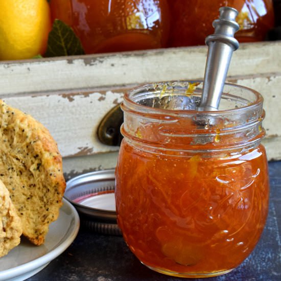Orange Marmalade Preserves - Recipe photo by byronethomas