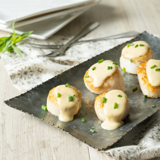 Scallops with Tarragon Cream Sauce - Recipe photo by Compelled To Cook