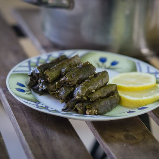 Vegan Stuffed Grape Leaves (Yalanje - Recipe photo by Nutrizonia