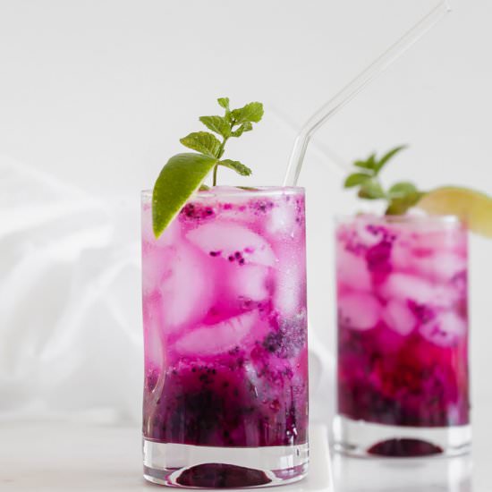 Dragonfruit Mojitos - Recipe photo by poshlittledesigns