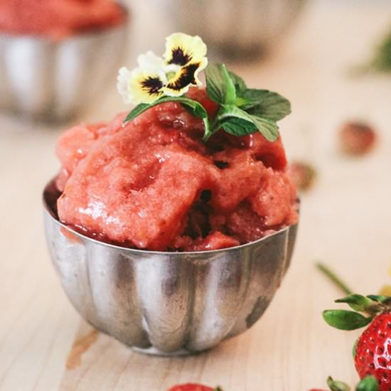 Gingered Strawberry Rhubarb Sorbet - Recipe photo by House of Perez