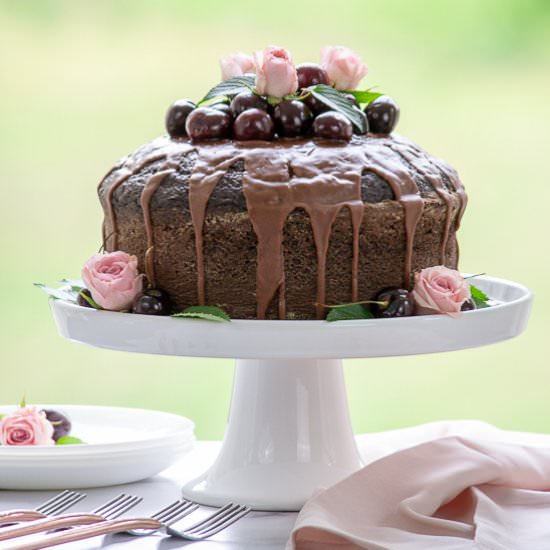 Cheerwine Chocolate Cake - Recipe photo by House of Elyn Ryn