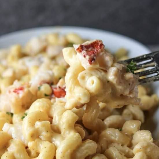 Lobster Macaroni and Cheese - Recipe photo by LifesLittleSweets