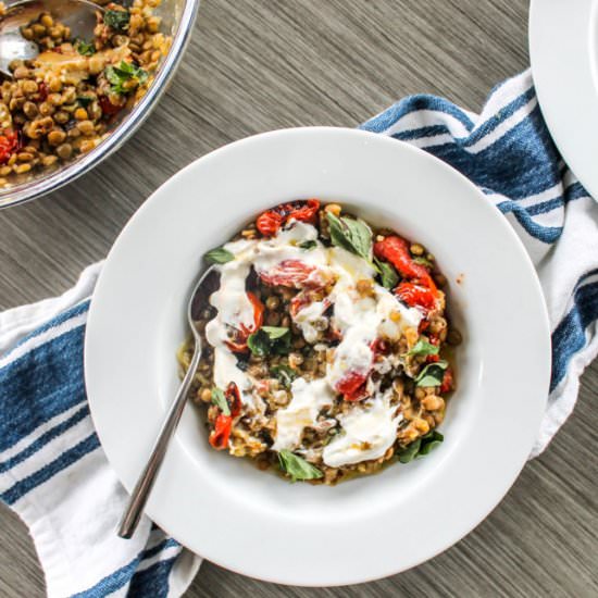 roasted eggplant with lentils - Recipe photo by Allons-Eat