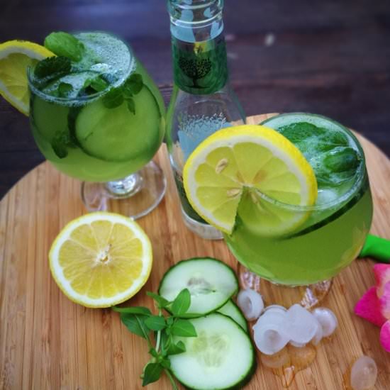 Green cucumber gin and tonic - Recipe photo by annekedeclerk