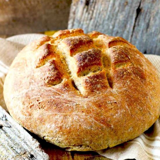 Bauernbrot - Recipe photo by Lemon blossoms
