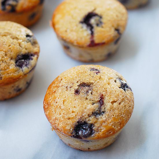 Blueberry lemon muffins - Recipe photo by evabakes