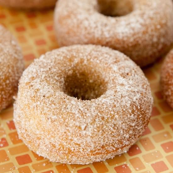 Pumpkin Donuts - Recipe photo by pamelaz