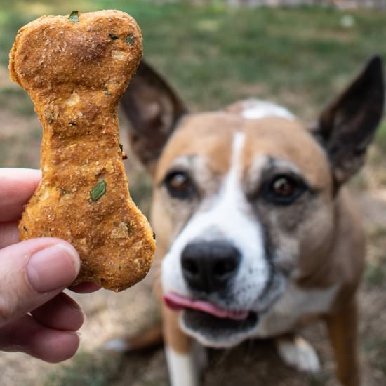 Pumpkin, Apple and Mint Dog Treats - Recipe photo by For the Love of Cooking