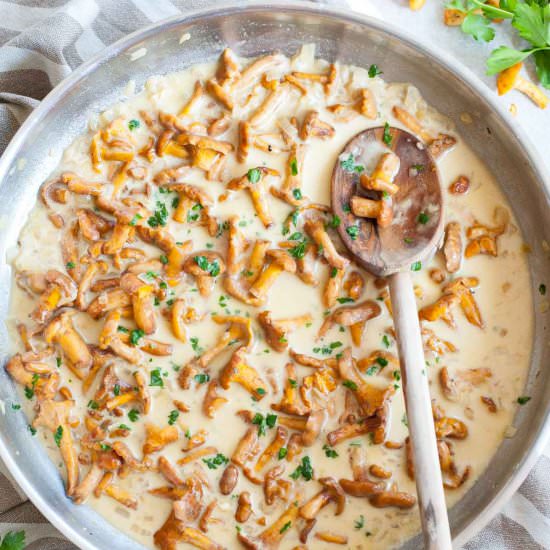 Chanterelle sauce - Recipe photo by everyday-delicious.com