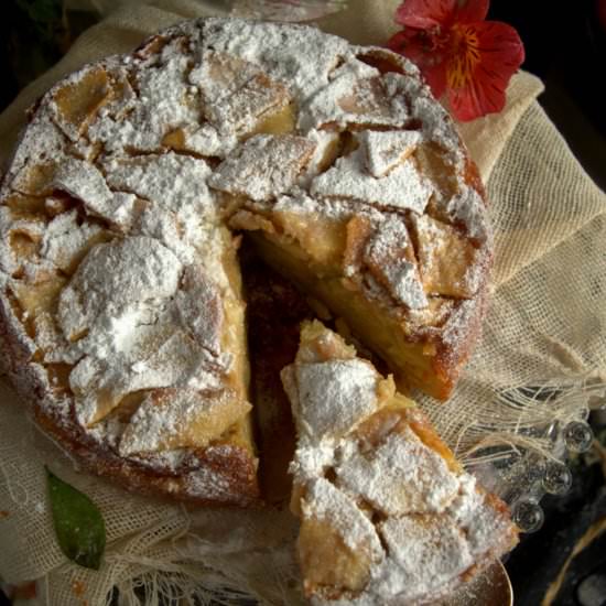 FRENCH APPLE CAKE - Recipe photo by pattyscake