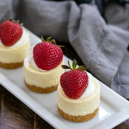 Mini Vanilla Bean Cheesecakes - Recipe photo by thatskinnychickcanbake