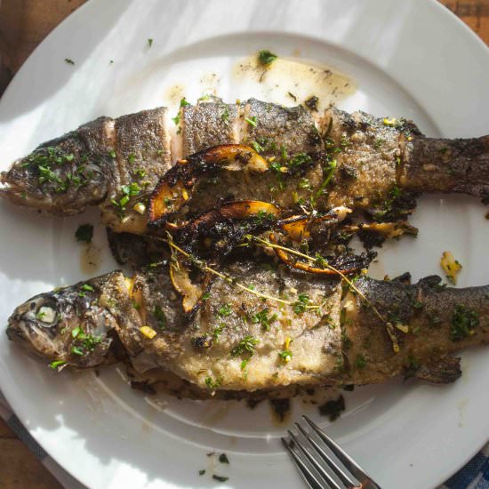 Rainbow Trout with garlic herb - Recipe photo by curatedcook