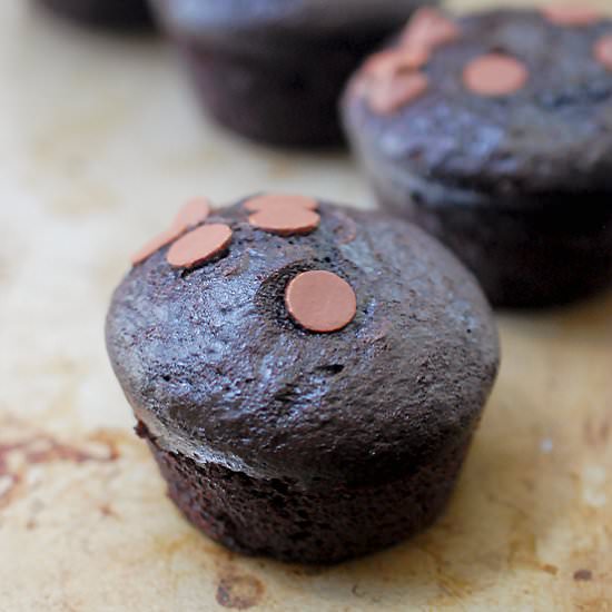 Fudgy double chocolate chip muffins - Recipe photo by evabakes