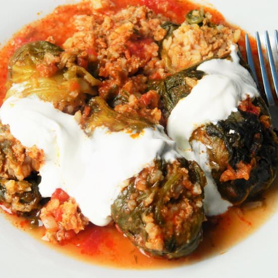 Best Stuffed Cabbage Rolls Recipe - Recipe photo by timeaskitchen