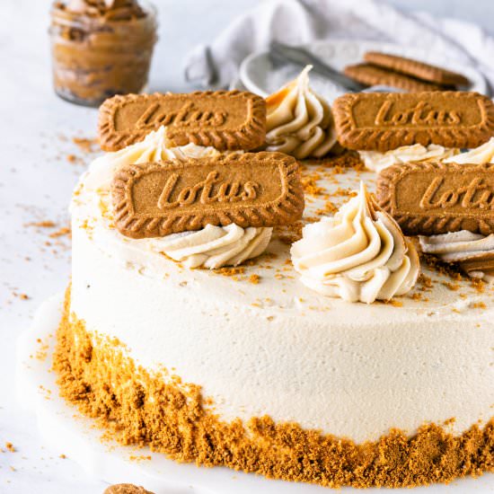 Vegan Marble Biscoff Cake - Recipe photo by piesandtacos