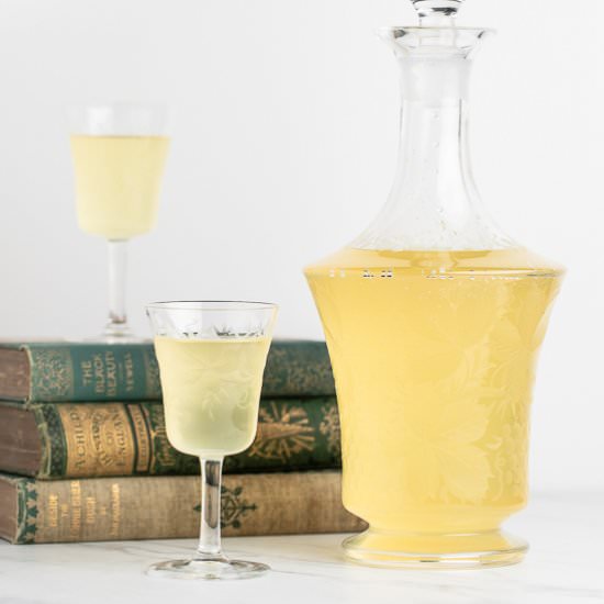 Homemade Limoncello - Recipe photo by sidewalkshoes