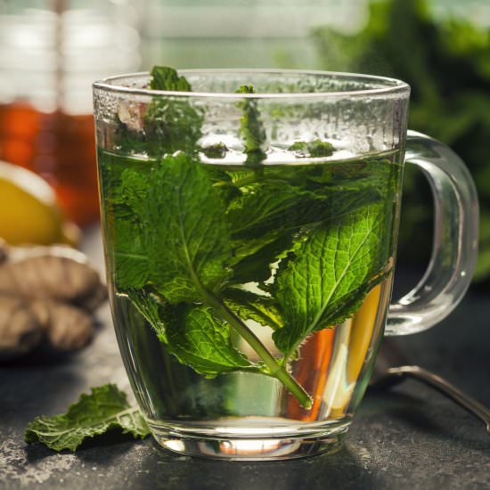 Easy Fresh Mint Tea (Hot or Iced) - Recipe photo by peasantsdaughter