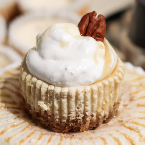 Skinny Mini Maple Pecan Cheesecakes - Recipe photo by milehighmitts