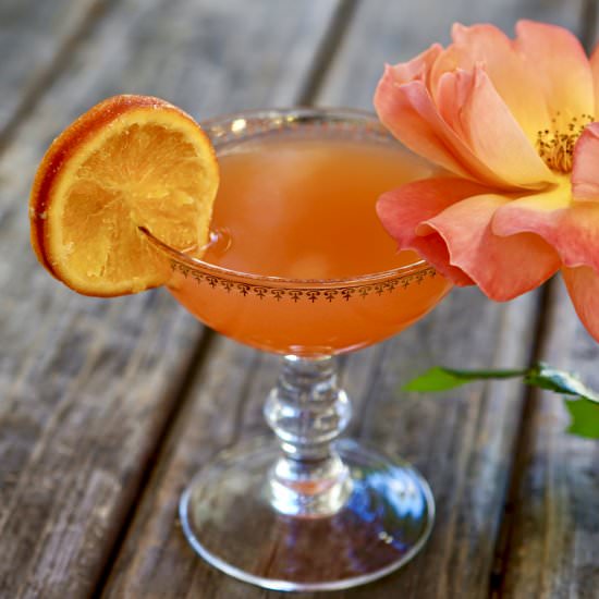 Aperol Cosmopolitan - Recipe photo by simmerandsauce