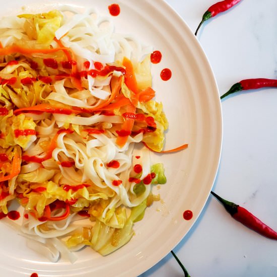 Spicy Cabbage And Carrot Stir Fry - Recipe photo by letstalkvegan.today