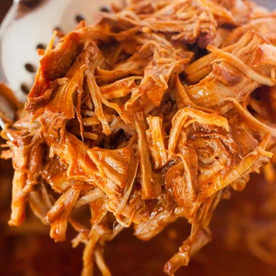 Instant Pot Pulled Pork - Recipe photo by Layne Henderson