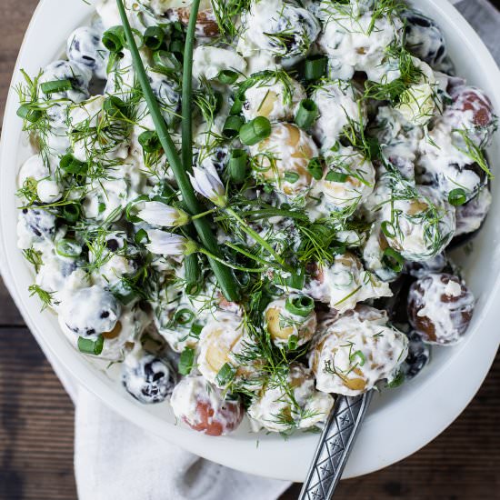 Creamy Dill Potato Salad - Recipe photo by ONEarmedMAMA