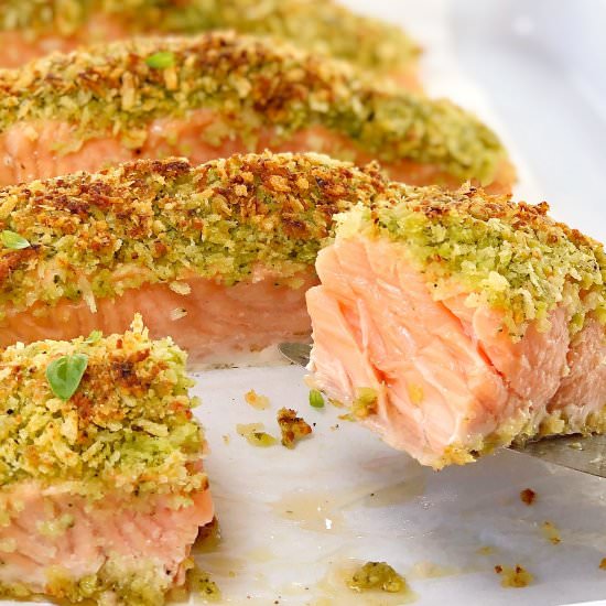 Baked Pesto Crusted Salmon - Recipe photo by chef not required