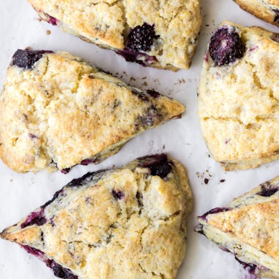 blackberry cornmeal scones - Recipe photo by withspice