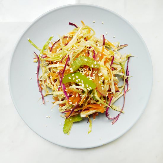 Super Simple Coleslaw - Recipe photo by a new green leaf