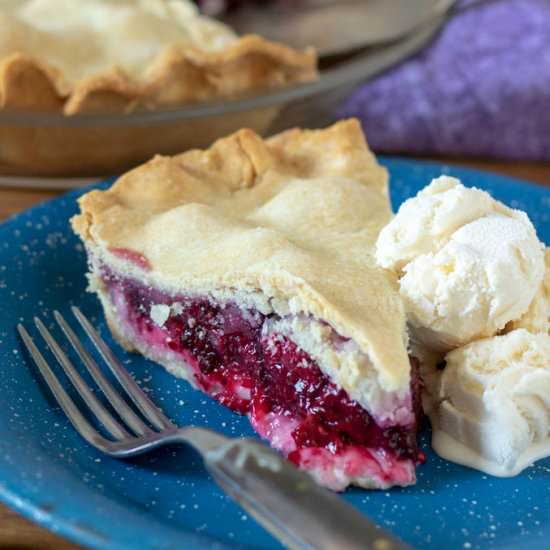 Blackberry Pie - Recipe photo by BinkysCulinaryCarnival