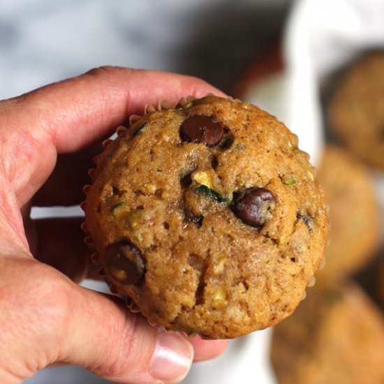 Chocolate Chip Zucchini Muffins - Recipe photo by suebeehomemaker