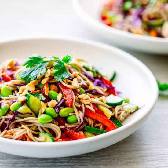 Soba Noodle Salad - Recipe photo by poshjournal