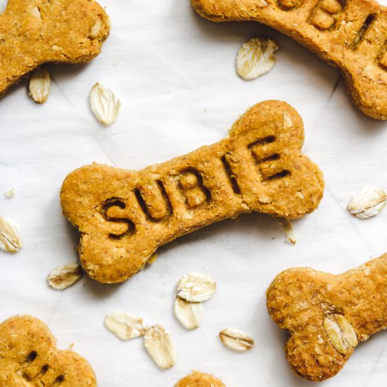 vegan pumpkin dog treats - Recipe photo by okonomi kitchen