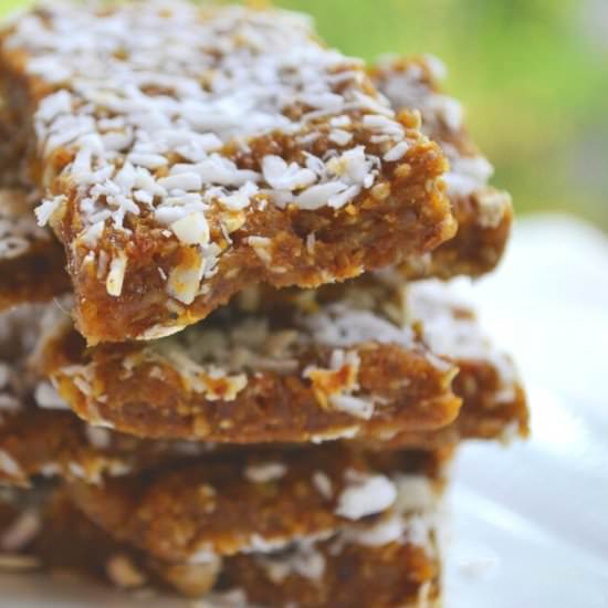 Pumpkin Coconut Energy Bars - Recipe photo by Jennyblogs