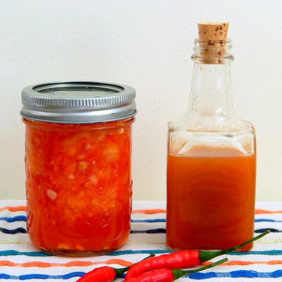 Traditional Fermented Hot Sauce - Recipe photo by Emillie