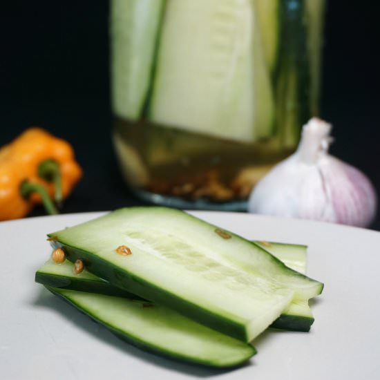 Habanero and Garlic Pickles - Recipe photo by Venturists