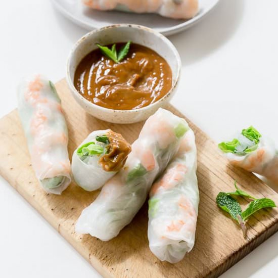 Vietnamese Rice Paper Rolls - Recipe photo by Wandercooks