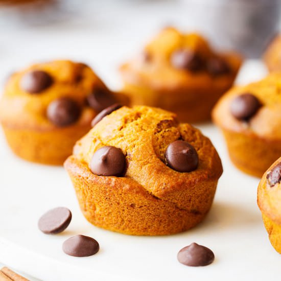 Pumpkin Chocolate Chip Muffins - Recipe photo by cleaneatingkitchen