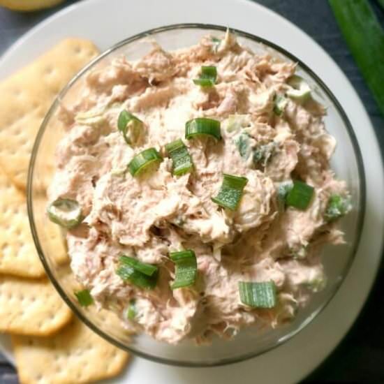 Tuna Dip - Recipe photo by mygorgeousrecipes