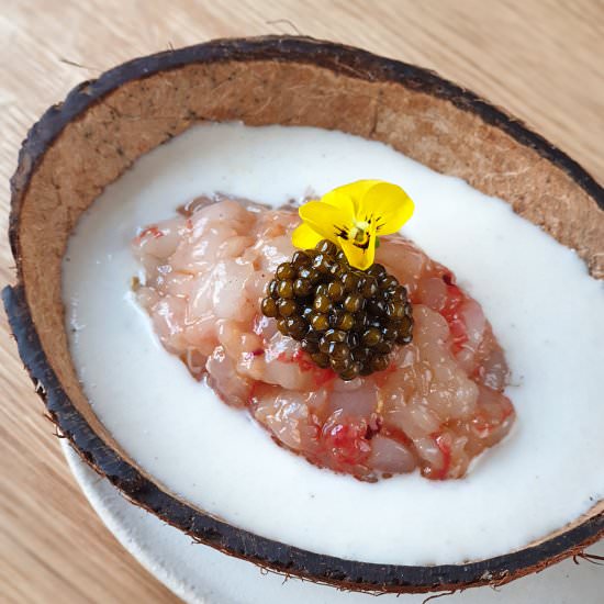 Coconut and prawn ajoblanco - Recipe photo by elcoladorchino