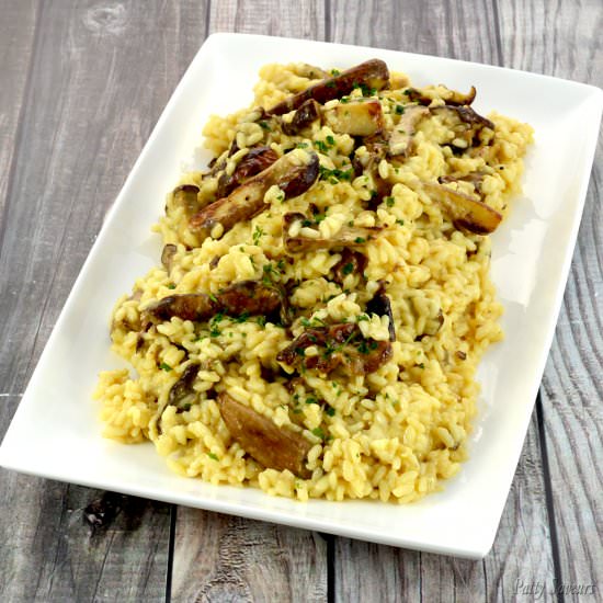 Porcini Risotto - Recipe photo by pattysaveurs